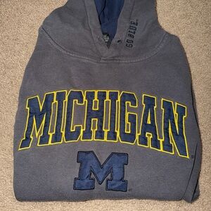 Gray Michigan Hoodie
